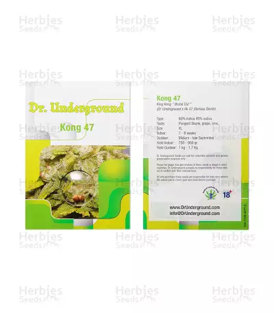 Kong 47 (Dr. Underground) Cannabis-Samen