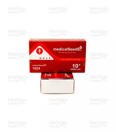 1024 (Medical Seeds) Cannabis-Samen