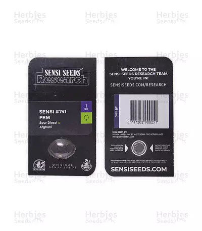 Sensi #741 (Sensi Seeds) Cannabis-Samen