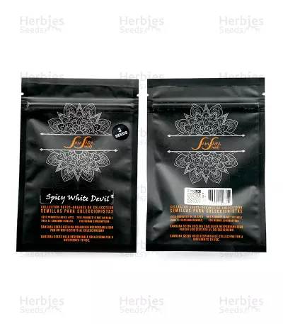 Spicy White Devil (Samsara Seeds) Cannabis-Samen