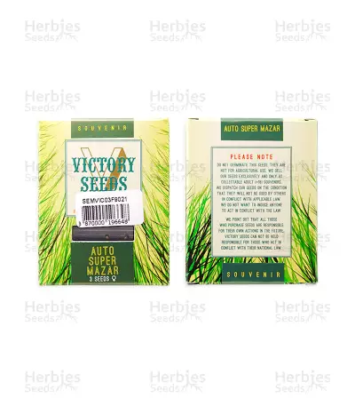 Auto Super Mazar (Victory Seeds) Cannabis-Samen