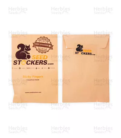 Sticky Fingers Autoflower (Seedstockers) Cannabis-Samen