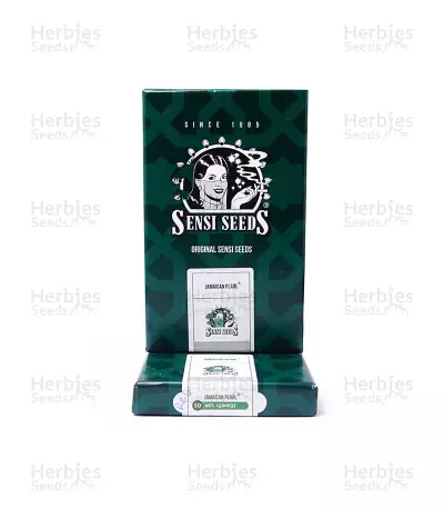 Jamaican Pearl regular (Sensi Seeds) Cannabis-Samen