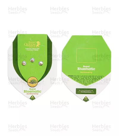 Royal Bluematic Auto (RQS) Cannabis-Samen
