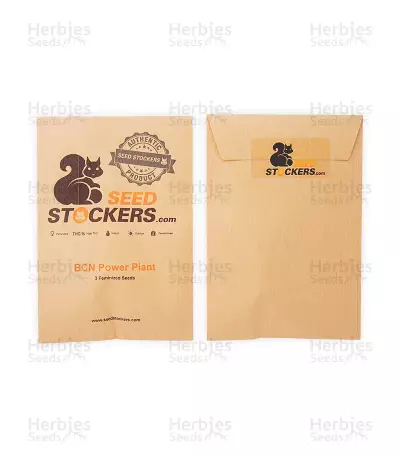 BCN Power Plant (Seedstockers) Cannabis-Samen