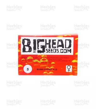 Bubblehead 13 (Big Head Seeds) Cannabis-Samen