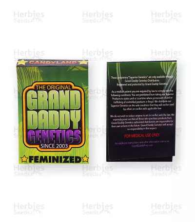 Candyland (Grand Daddy Purp) Cannabis-Samen