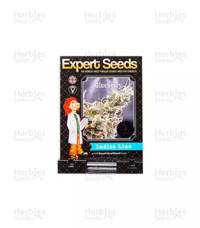 Glueberry (Expert Seeds) Cannabis-Samen