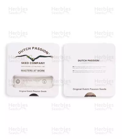 Hollands Hope regular (Dutch Passion) Cannabis-Samen