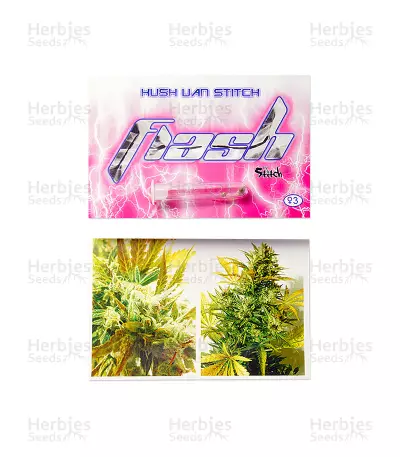 Kush Van Stitch Auto (Flash Seeds) Cannabis-Samen