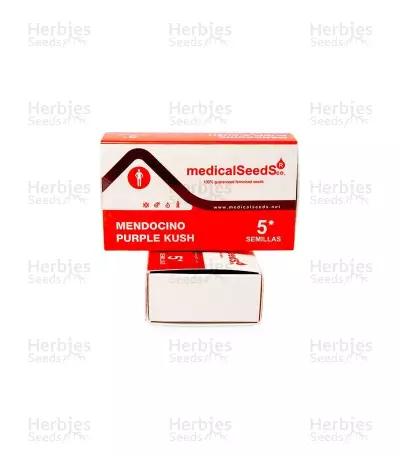Mendocino Purple Kush (Medical Seeds) Cannabis-Samen