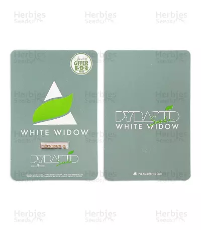 White Widow (Pyramid Seeds) Cannabis-Samen