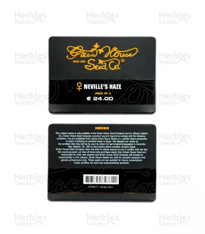 Neville's Haze (GHS) Cannabis-Samen