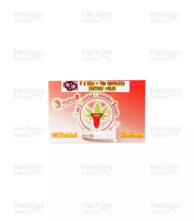 Kali & the Chocolate Factory (KFC Seeds) Cannabis-Samen
