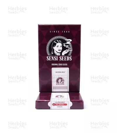California Indica (Sensi Seeds)