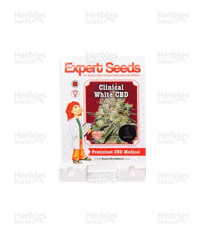 Clinical White CBD (Expert Seeds) Cannabis-Samen
