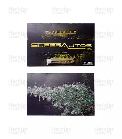 Panama Lime Auto (Flash Seeds) Cannabis-Samen