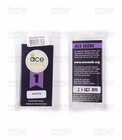 Violeta (Ace Seeds) Cannabis-Samen