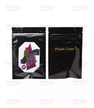 Purple Caper regular (Purple Caper Seeds) Cannabis-Samen