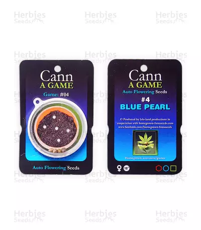 Blue Pearl Auto (Homegrown Fantaseeds) Cannabis-Samen