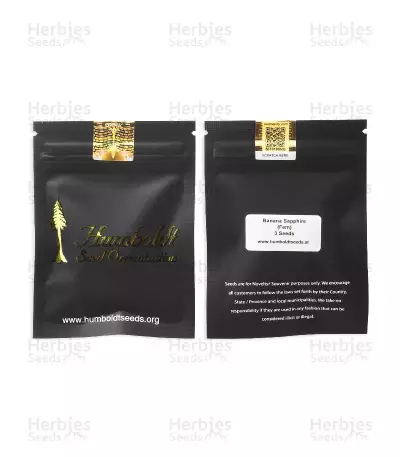 Banana Sapphire Samen feminisiert (Humboldt Seeds Organization)