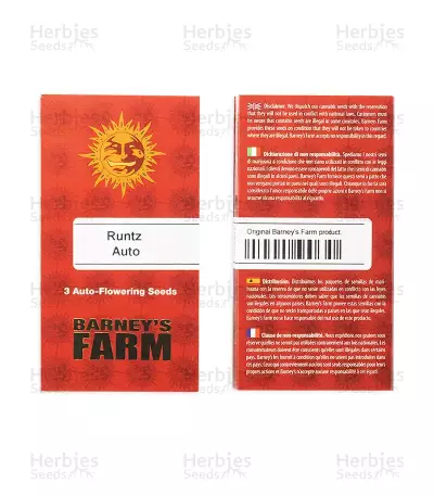 Runtz Auto Samen feminisiert (Barney's Farm)