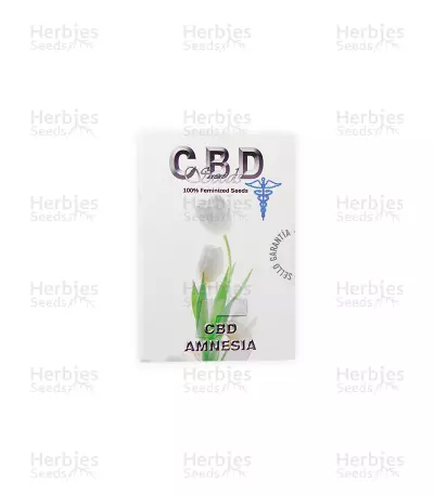 CBD Amnesia (CBD Seeds) Cannabis-Samen