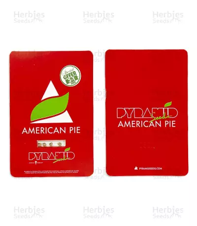 American Pie (Pyramid Seeds) Cannabis-Samen