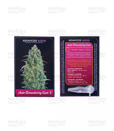 Auto Strawberry Gum (Advanced Seeds) Cannabis-Samen