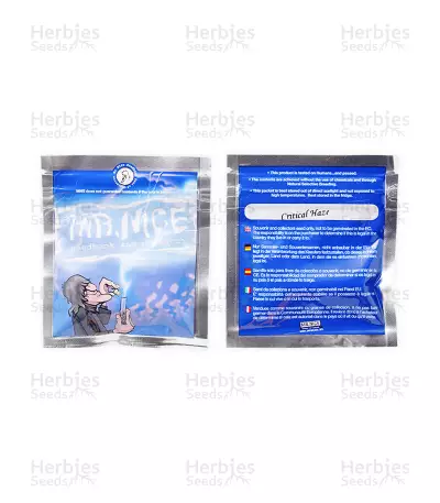 Critical Haze Regular (Mr. Nice Seedbank) Cannabis-Samen