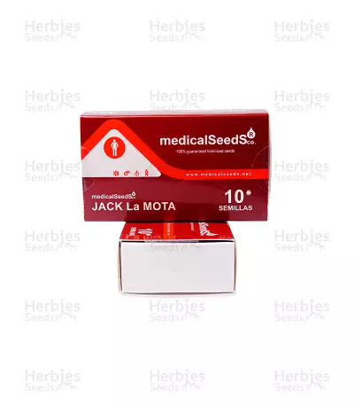 Jack La Mota (Medical Seeds) Cannabis-Samen