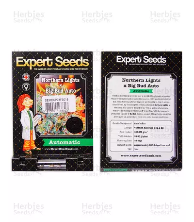 Northern Lights x Big Bud Auto (Expert Seeds) Cannabis-Samen