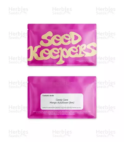 Candy Cane Mango Autoflower feminisierte Samen (Seedkeepers)