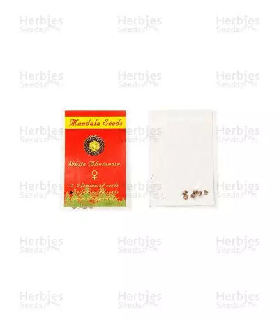 White Bhutanese (Mandala Seeds) Cannabis-Samen