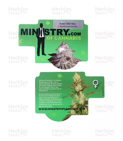CBD Star Auto (Ministry Of Cannabis) Cannabis-Samen