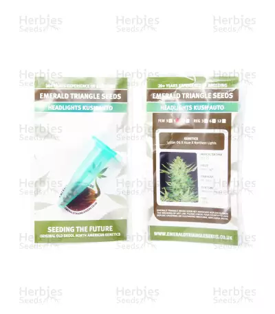 Headlights Kush Auto (Emerald Triangle Seeds) Cannabis-Samen