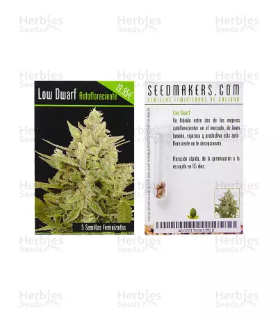 Lowdwarf Auto (Seedmakers Seeds) Cannabis-Samen