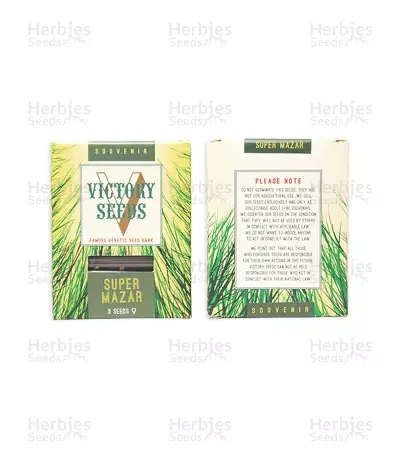 Super Mazar (Victory Seeds) Cannabis-Samen