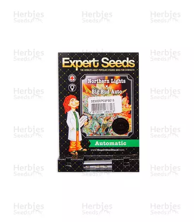 Northern Lights x Big Bud Auto (Expert Seeds) Cannabis-Samen