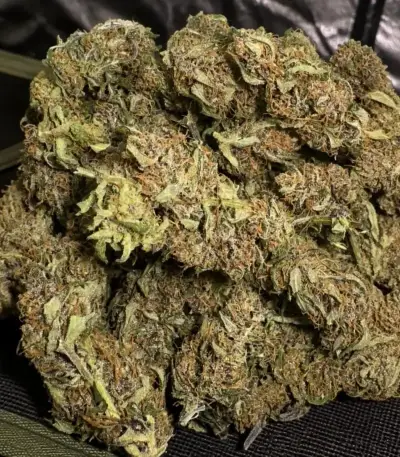Purple Lemonade Auto RF3 (Fast Buds)