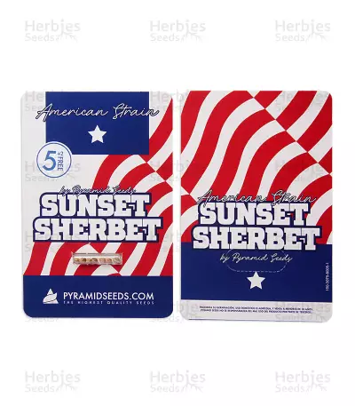 Sunset Sherbet (Pyramid Seeds) Cannabis-Samen