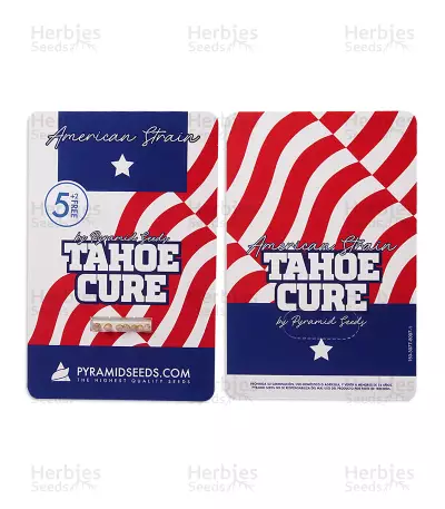 Tahoe Cure (Pyramid Seeds) Cannabis-Samen