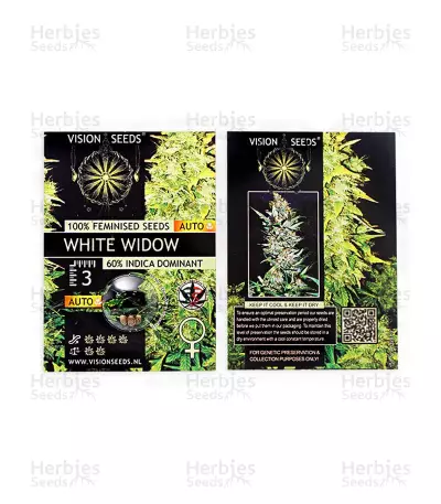 White Widow Auto (Vision Seeds) Cannabis-Samen