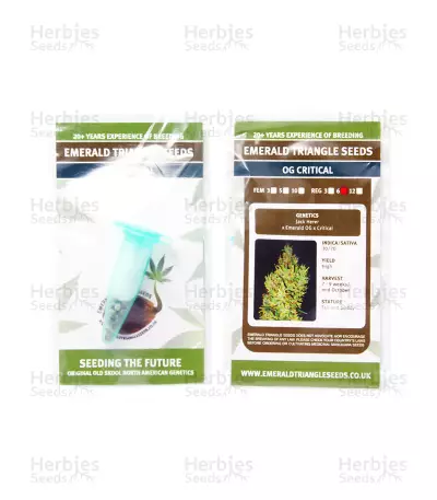 OG Critical regular (Emerald Triangle Seeds) Cannabis-Samen