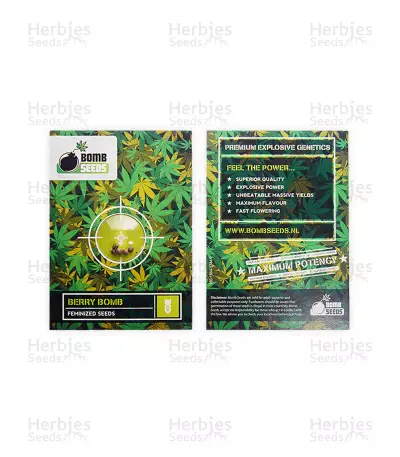 Berry Bomb (Bomb Seeds) Cannabis-Samen