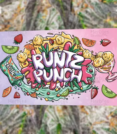 Runtz Punch feminisierte Samen (Herbies Seeds)