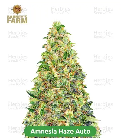 Autopilot Harvest Bundle #3: 3x5 seeds (Mixed)