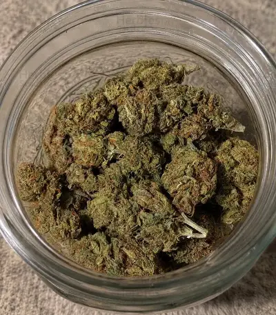 Durban Poison (Barney's Farm)