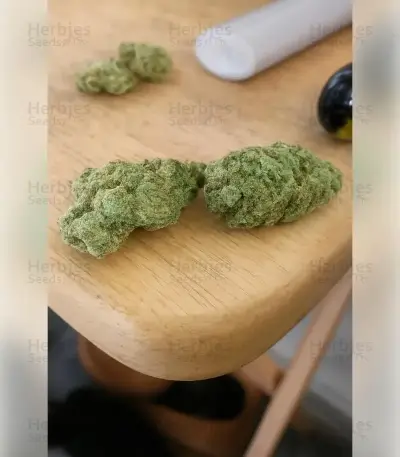 Hella Jelly (Humboldt Seed Company)