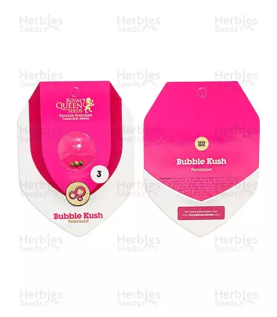 Bubble Kush (RQS) Cannabis-Samen
